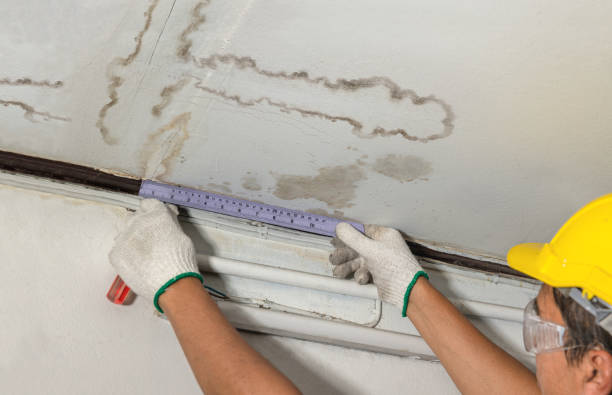 Reliable Basement Water Removal contractor in Winner, SD by Water Damage Irwin